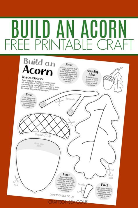 Build An Acorn Printable (FREE Cut and Paste Craft) Cut Out Crafts Free Printable, Acorn Patterns Free Printable, Squirrels And Acorns Preschool Crafts, Free Acorn Printable, Acorn Template Free Printable, Free Printable Acorn Template, Acorn Crafts For Kids, Acorn Crafts Preschool, Acorn Coloring Page Free Printable