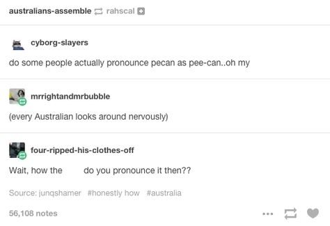 peh-cahn Accent on the cahn. right??? IDK, I'm a merican <<< that’s how I pronounce it too. I’m American, but I know some people who pronounce it the other way too Aussie Memes, Learn Any Language, Australian Memes, Australia Funny, Fairy Bread, Funny Tumblr, Best Of Tumblr, Too Real, Funny Af