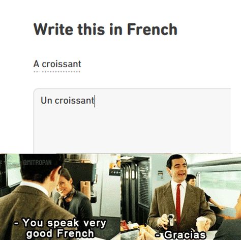 "Yes I speak very French" #funny #lol #memes #funnymemes #bestofreddit Memes In French Funny, French Memes Humor, French Jokes, French Revision, French Funny, French Meme, Nerd Memes, Basic French, Basic French Words