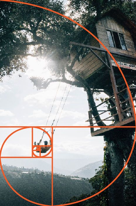 A person on a swing haning from a wooden tree house, with the golden ratio grid overlayed The Golden Ratio Photography, Composition Rule Of Thirds, Golden Ratio Photography, Golden Ratio Composition, Tree Composition, Wooden Tree House, Interesting Composition, Composition Photo, Rules Of Composition