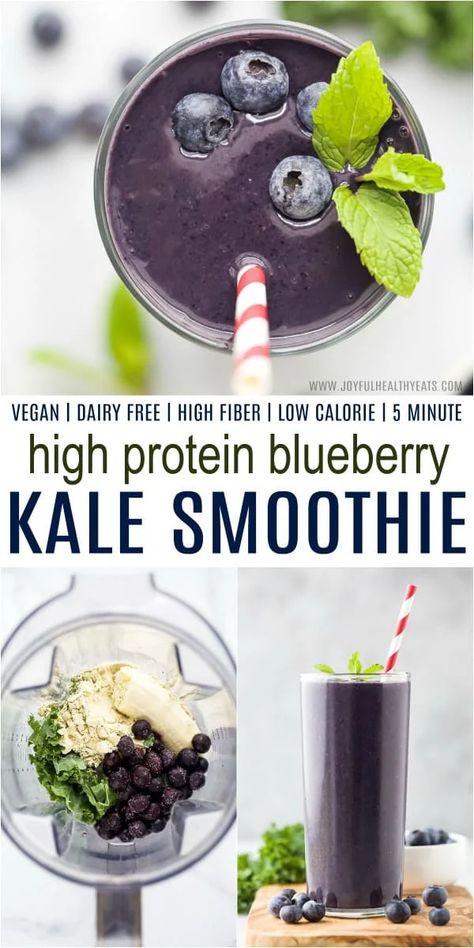 Blueberry Kale Smoothie, Protein Blueberry, Berry Smoothies, Fiber Smoothie, Protein Breakfast Smoothie, Kale Smoothie Recipes, Blueberry Smoothie Recipe, Healthy Beverages, Healthy Protein Shakes