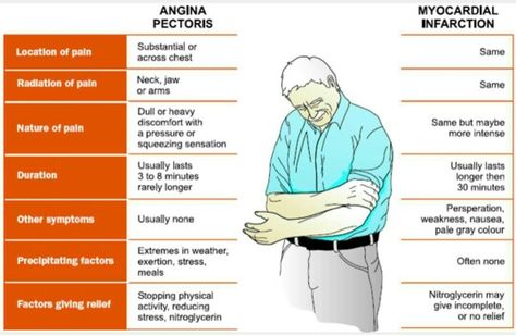 Angina vs Heart Attack Nursing Cheat, Nursing Board, Angina Pectoris, Nursing Mnemonics, Surgical Nursing, Medical Surgical Nursing, Cardiac Nursing, Holistic Health Remedies, Nursing School Tips