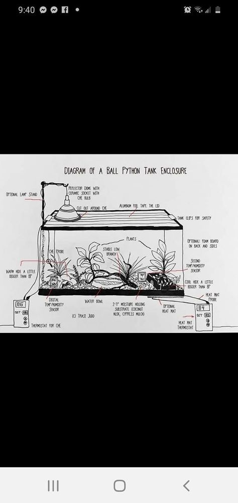 BALL PYTHON 🐍 tank setup Snake Tank Setup Ball Python, Ball Python Tank, Python Tank, Danger Noodle, Snake Tank, Reptile Room, Terrarium Diy, Ball Python, Cool Names