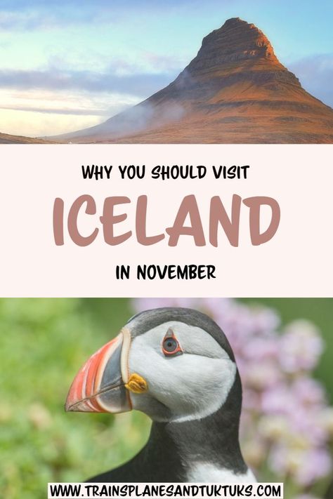 Iceland November Travel, Iceland Itinerary November, Iceland Winter Itinerary, Iceland November, Iceland In November, Iceland Northern Lights, Boys Trip, Visiting Iceland, Nordic Travel