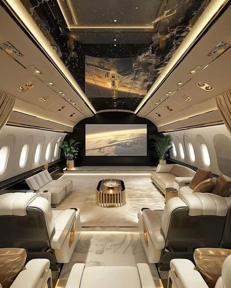 Private Jet Concept, Private Plane Interior, Jets Privés De Luxe, Private Jet Travel, Private Jet Interior, Jet Privé, Modern Appartement, Luxury Jets, Luxury Private Jets