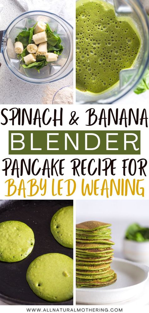 Toddler Spinach Pancakes, Banana Spinach Pancakes Baby, Baby Food With Spinach, Spinach Waffles For Baby, Infant Friendly Meals, Spinach Recipe For Baby, Baby Spinach Pancakes, Spinach Blw Recipes, Spinach Puree Baby Food