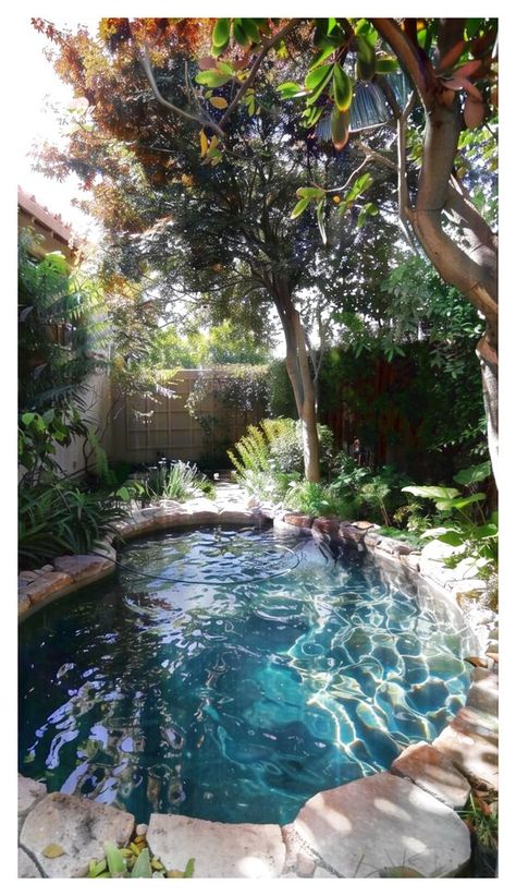 Pool With Pool House, Small Backyard Pool Ideas, Small Backyard Pool, Backyard Pool Design, Pond Pool, Pool Ideas On A Budget, Dream Backyard Pool, Pools Backyard Inground, Small Swimming Pools