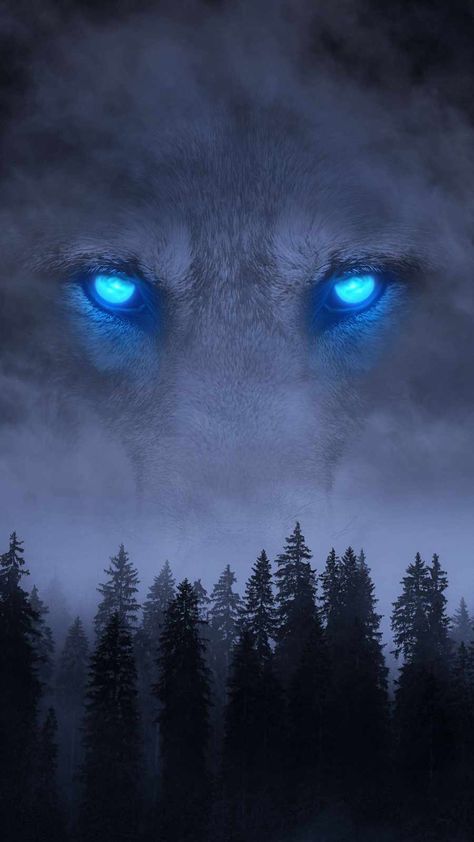 Wolf Eyes Aesthetic, Draw Wolf, Werewolf Aesthetic, Shadow Wolf, Wolf Background, Wolf Eyes, Wolf Artwork, Wolf Canvas, Wolf Quotes