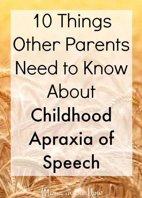 10 things other parents need to know about childhood apraxia of speech. This encouraging information is important for families affected by speech delays! A MUST READ from a family who has been trying to help their son for 4 years! Speech Delay Activities, Apraxia Therapy, Apraxia Activities, Apraxia Of Speech, Language Development Activities, Childhood Apraxia Of Speech, Toddler Speech, Speech Delay, Hand Signals