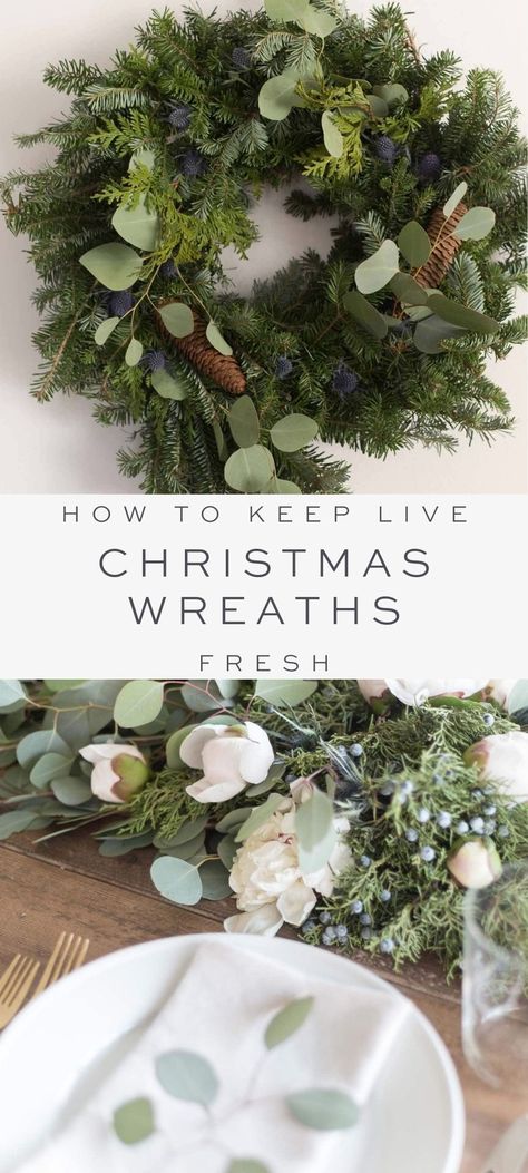 Tips and tricks to keep your live wreaths and greenery garland looking fresh and fragrant to enjoy them throughout the holiday season, without the mess. Bring greenery garland and fresh Christmas wreaths into your home for the holidays without fear of them drying prematurely. Live Christmas Wreaths, Real Christmas Wreaths, Fresh Christmas Wreath, Fresh Garlands, Living Wreath, Fresh Wreath, Tray Decor Christmas, Diy Front Porch, Front Porch Christmas Decor Ideas