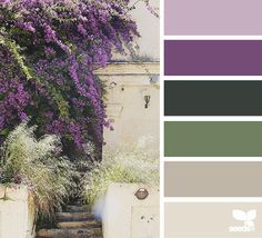 Color Palette For Home, Seeds Color, Color Concept, Purple Color Palettes, Design Seeds, Trendy Bedroom, Gray Design, Bedroom Paint, Colour Board