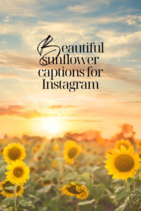 Explore a curated collection of beautiful and inspirational sunflower quotes that capture the essence of love and happiness. These short, yet powerful phrases are perfect for adding a touch of sunshine to your Instagram posts. Whether you're looking for a motivational boost or a simple reminder of the beauty in life, these sunflower quotes make great photo captions and are sure to inspire. Dive into the world of sunflowers and let their natural beauty and positive energy brighten your day. Flower Inspiration Quotes, Sunflower Quotes Happiness, Sunflower Quotes Short, Sunflower Quotes Inspirational, Sunshine Quotes Positive, Sunshine Quotes Inspirational, Sunflower Captions, Advice From A Sunflower, Sayings About Sunflowers