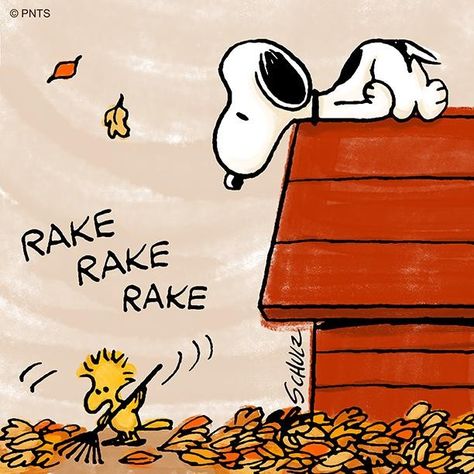 Autumn weekends 🍂 🍂 🍂 Snoopy Drawing, Snoopy Tattoo, Charlie Brown Thanksgiving, Woodstock Snoopy, Woodstock Peanuts, Snoopy Comics, Fall Drawings, Snoopy Cartoon, Snoopy Funny