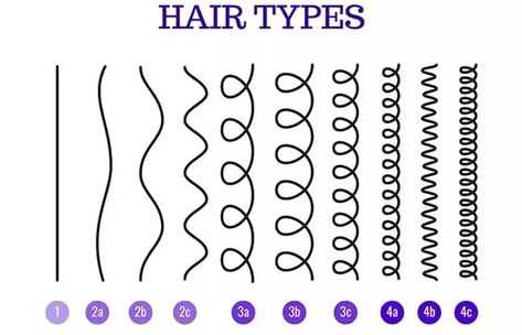 Layers With Face Framing Pieces, Layers With Face Framing, Afro Hair Types, Hair Type Chart, Healthy Hair Diet, Hair Chart, 3a Hair, Thicker Stronger Hair, Type Chart