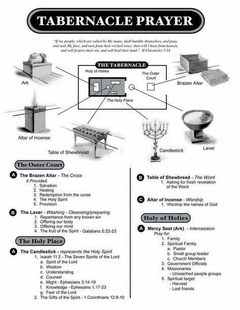 Tabernacle Prayer Bible Infographics, Tabernacle Of Moses, Bible Genealogy, Revelation Bible, Bible Mapping, Bible Study Topics, Bible Study Help, Bible Study Methods, Bible History