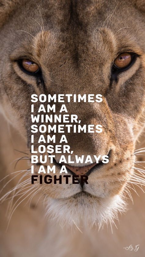 Lions Dont Concern Themselves, Lion Mentality Quotes, Lion Quotes Inspiration Strong, Lion Quotes Inspirational, Lion Affirmations, Lion Quotes Inspiration Motivation, Lion Attitude Quotes, Roar Quotes, Lion Mentality