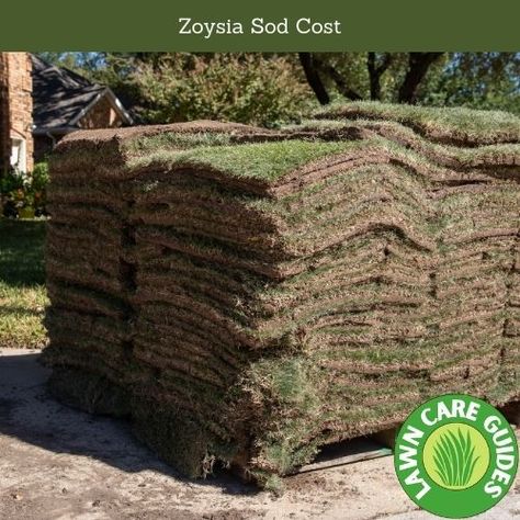 The price of Sod can vary depending on the type of Sod you buy, the quality of the Sod, and where you live.  The average cost of grass sod is around 50 cents per square foot, but it can range from 35 to 70 cents per square foot. A pallet of Sod typically covers between... Bermuda Sod, Zoysia Sod, Sod Grass, Sod Installation, Types Of Grass, Healthy Lawn, Large Yard, Artificial Turf, Green Lawn