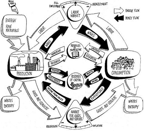 Economic Systems, Energy Flow, Grad School, Photosynthesis, Goods And Services, Economics, How Can, The Future, Coding