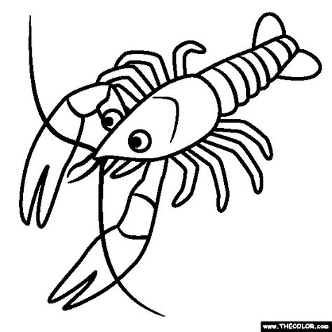 Crawfish Coloring Page How To Draw A Crawfish Step By Step, Crayfish Drawing, Crawfish Coloring Page, Electric Eel Fish, Crayfish Illustration, Crawfish Svg, Dog Ram, Ocean Turtle, Online Coloring Pages