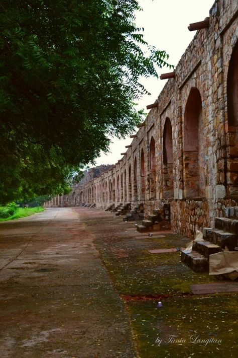 Purana Qila, Castle On The Hill, Rajasthan India, Incredible India, Beautiful Architecture, India Travel, Desi, Singapore, Vision Board