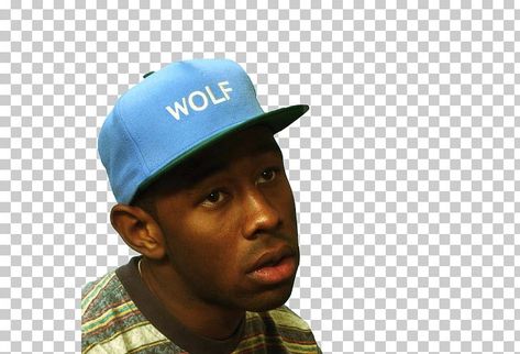 Tyler The Creator Hat, Tyler The Creator Png, Wolf Hat, Iphone Case Stickers, Graphic Ideas, Tyler The Creator, Case Stickers, Color Trends, Shirt Print