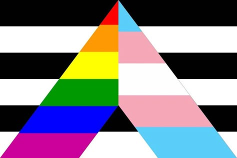 Straight Flag, Ally Flag, Trans Ally, Straight Ally Flag, Lgbtq Ally, Straight Ally, Hello August, Trans Flag, Lgbtq Flags