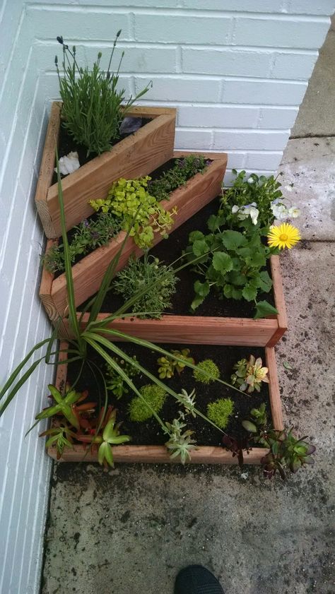 Corner Herb Garden, Corner Plants Outdoor, Corner Succulent Garden Ideas, Corner Planter Boxes, Corner Planters Outdoor, Small Corner Garden Ideas, Tiered Corner Garden, Small Corner Flower Garden, Corner Garden Ideas Backyards