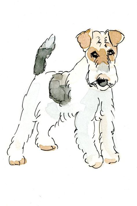 Poodle Drawing, Wire Haired Terrier, Wirehaired Fox Terrier, Elephant Illustration, Welsh Terrier, Irish Terrier, Dog Sketch, Fox Terriers, Wire Fox Terrier