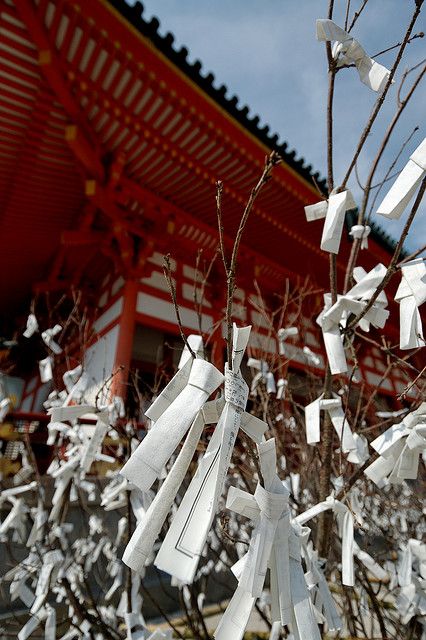 Japanese Wishing Tree, Japan Activities, Wish Tree, Japanese Traditional Clothing, All About Japan, Wishing Tree, Trip To Japan, Sailor Moon Aesthetic, Wakayama