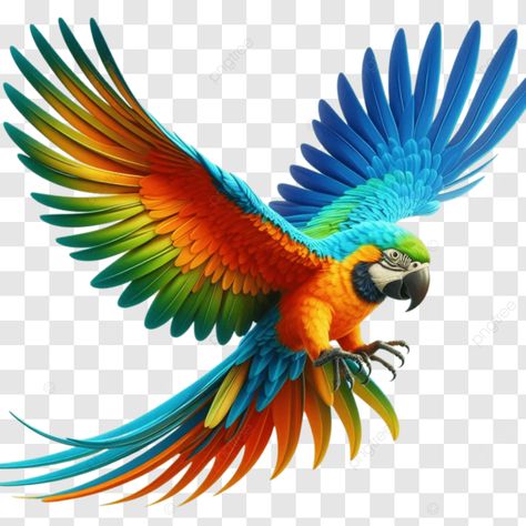 colorful flying parrot Real Birds Images, Parrot Wings Drawing, Drawings Of Parrots, Animated Birds, Batman Joker Art, Parrot Png, Flying Parrot, Birds Video, Jungle Images