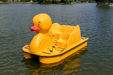 Duck | Paddle Wheeler Swan Boats, Pedal Boats, Pedal Boat, Paddle Wheel, Duck Boat, Rubber Duckies, Hocking Hills, Paddle Boat, Quack Quack