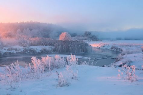 Winter Landscape Photography, Snowy Morning, Winter Sunrise, Snow Art, Snowy Landscape, Landscape Photography Nature, Winter Mornings, Forest Landscape, Winter Forest