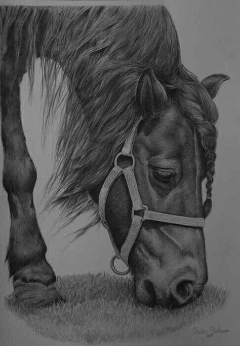 Black pony Shetland Pony Drawing, Cute Horse Quotes, Elsa Sketch, Horse Pens, Horse Art Drawing, Horses Art, Horse Coloring Pages, Horse Drawing, Horse Drawings