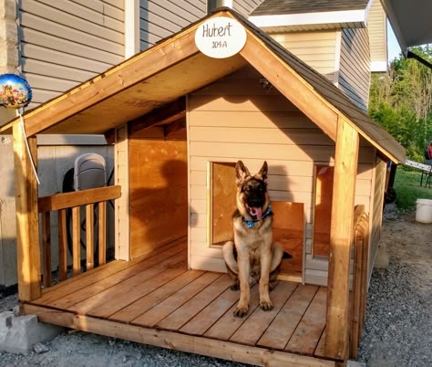 Creative Dog Houses Outdoor, Indoor Dog House For Big Dogs, Big Dog House Ideas, Big Dog House Outdoor Ideas, Easy Dog House Diy Outdoor, Dog House Outdoor With Ac, Dog House For 2 Dogs, Dog Homes Outdoor, Outside Dog Houses For Big Dogs