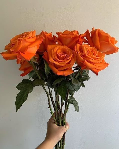 Orange Rose Bouquet, Orange Aesthetics, Instagram Boost, Orange Icons:), Fleur Orange, Peach Aesthetic, Rosé Aesthetic, Followers On Instagram, Nothing But Flowers