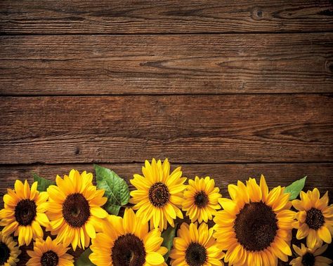 Wooden Board Flower Backdrop Sunflower Backdrops Backgrounds | Etsy Backdrop Butterfly, Baby Backdrop, Black Wall Decor, Sunflowers Background, Birthday Party Background, Woods Photography, Vinyl Backdrops, Baby Shower Backdrop, Party Photography