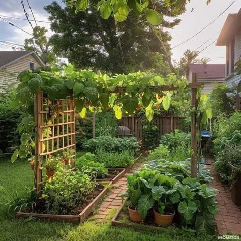 Vege Garden Ideas, Vege Garden, Wooden Church, Veg Patch, Garden Goals, Backyard Garden Layout, Small Patio Garden, Areas Verdes, Veggie Patch