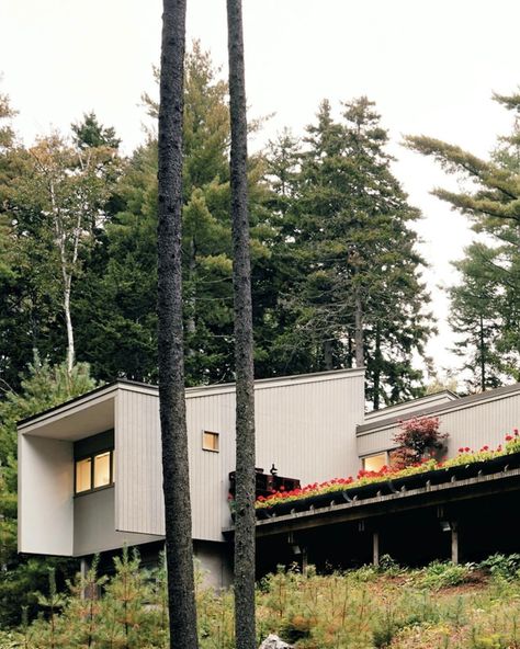 MIDMODMOOD® on Instagram: “Home of Peter Cohen and his wife — Tag your better half ❤️ Photos by @mahaney_mark” Hygge Cabin, Peter Eisenman House Vi, Vokes And Peters Architecture, Module Design, Modernist Architects, Living On The Edge, Interiors Magazine, Mountain Retreat, Cabin Life