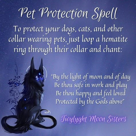 Pet Protection Spell, Dog Protection, Cat Spirit Animal, Cat Spirit, Money Spells That Work, Spells For Beginners, Protection Spell, Wiccan Magic, Magic Spell Book