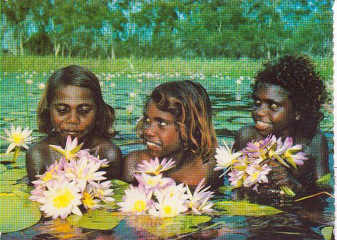 Australian Aborigines | australian aboriginal girls in a northern territory lagoon | Flickr ... Australian Aboriginals, Australian People, Aboriginal History, Northern Territory Australia, Australia History, Aboriginal Culture, Native Australians, Aboriginal People, Northern Territory