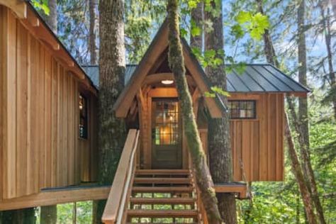 Home Treehouse Masters, Normal House, Mt Rainier, Tree Houses, Tree House, Small House