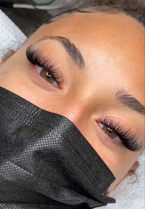 Babydoll Classic Lash Extensions, C Curl Volume Lash Extensions, Reverse Cat Eye Lash Extensions, Hybrid Lashes With Color, Cateye Eyelashes Extensions Natural, L Lash Extensions, Full Cat Eye Lash Extensions, Lash Extensions Hybrid Cat Eye, Lash Extensions Wet Set