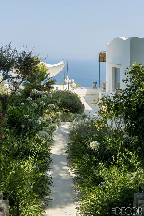 A similar sense of timelessness also permeates the garden, which includes a grove of orange and lemon trees, as well as a long colonnade leading to a terrace overlooking the sea. “The garden had been abandoned, but it was still among the most beautiful I’d ever seen,” says garden designer Antonella Sartogo. Delicate palette of native plants.  The entrance to the garden is planted with boxwood and agapanthus.   - ELLEDecor.com Mediterranean Backyard, Mediterranean Houses, Romantic Backyard, Capri Island, Coastal Gardens, Inspire Me Home Decor, Island House, Mediterranean Garden, Beach Living