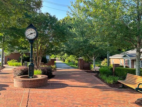 25+ Great Things to Do in Travelers Rest SC Swamp Rabbit Trail, Travelers Rest Sc, American Cafe, Rest Stop, Travelers Rest, Spring Park, Top Soil, Travel Bug, Tap Room