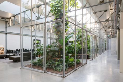 Interior Greenhouse, Industrial Hall, Healing Environment, Warehouse Office, Warehouse Conversion, Indoor Greenhouse, Factory Building, Cool Office, Change Management