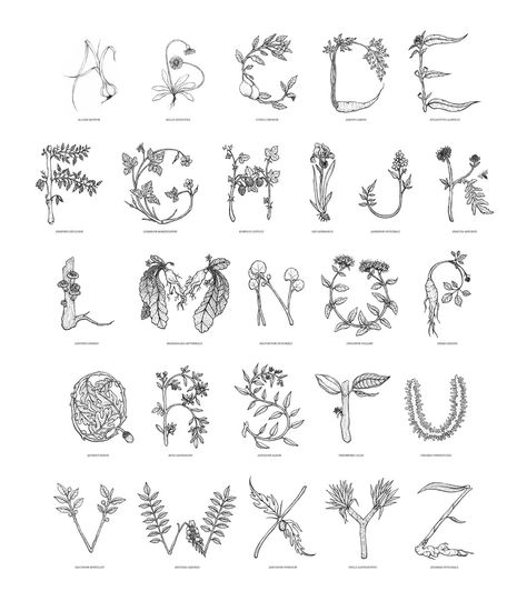 Plant Letters Fonts, Plant Font Alphabet, Plant Alphabet Letters, Tattoo Fonts Alphabet Hand Lettering, Nature Fonts Alphabet, Cottagecore Lettering, Poster Design Nature, Plant Lettering, Natural Fonts