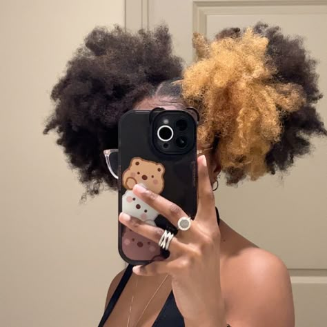 Natural Hair Puff Hairstyles, Natural Hairstyle Ideas Braids, Four Puffs Natural Hair, Back Puff Natural Hair, Hair Puffs Styles, Double Puffs Natural Hair, Cute Puff Hairstyles, Puff Puff Hairstyles, Afro Puffs Hairstyles Black Women