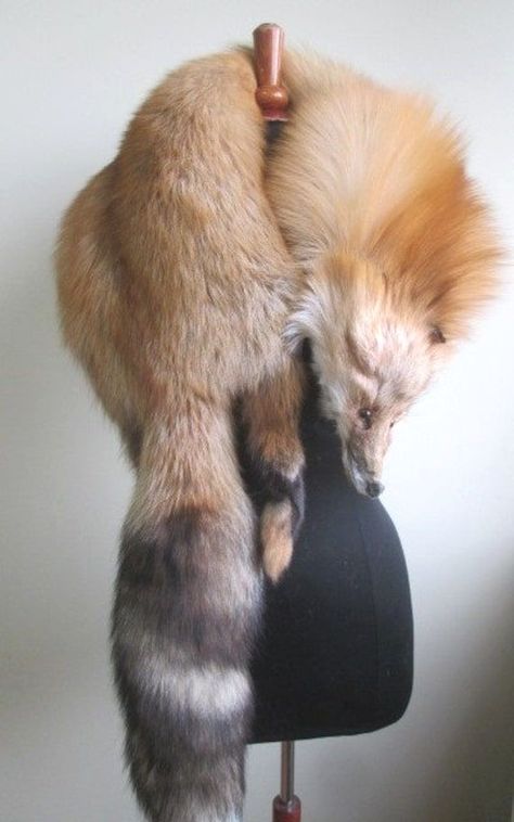 Fox Stole With Head, Fur Coat Art, Fox Clothes, Fox Fashion, Fox Tails, Fur Pelt, Fox Stole, Fox Scarf, Cape Wedding