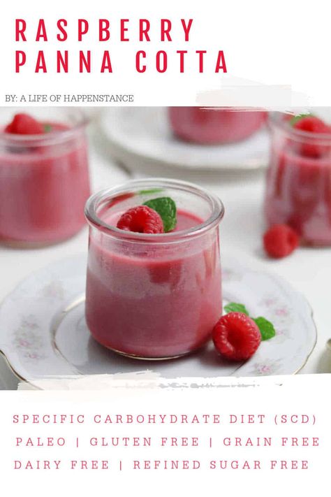 Raspberry Panna Cotta, Vegan Panna Cotta, Dessert Shooters Recipes, Tart Raspberry, Paleo Fruit, Pink Dessert, Scd Diet, Scd Recipes, Raspberry Desserts