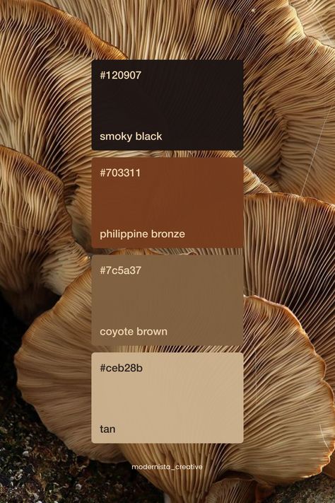 Mushroom Brown Color Palette, Espresso Brown Color Palette, Natural Colors Palette, Mushroom Colour Palette, Black And Brown Color Palette, Logo Color Palette Branding, Mushroom Color Palette, Brown Colour Palette, Brown Branding